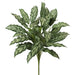 30" Aglaonema Silver Queen Silk Plant -2 Tone Green (Pack of 6) - P-1600