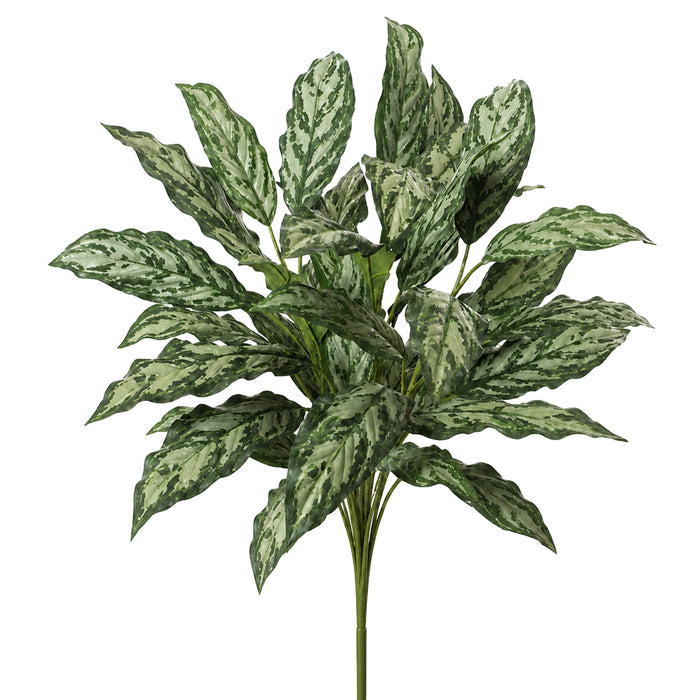 30" IFR Aglaonema Silver Queen Silk Plant -2 Tone Green (Pack of 6) - PR-1600