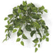 24" IFR Variegated Pothos Vine Artificial Hanging Plant -100 Leaves -Green (pack of 6) - PR175000