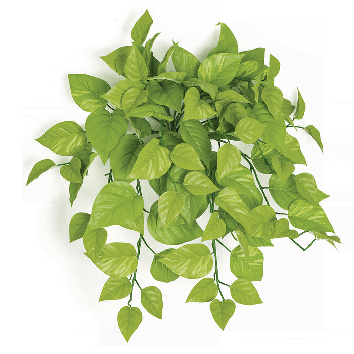 pothos artificial light 24" IFR Pothos Ivy Artificial Hanging Plant -Light Green — Silks Are Forever