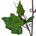 5'6" IFR Grape Leaf Artificial Garland -Green (Pack of 6) - PR181700