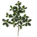 26" IFR Silk Black Olive Leaf Stem -Green (Pack of 24) - PR-183000