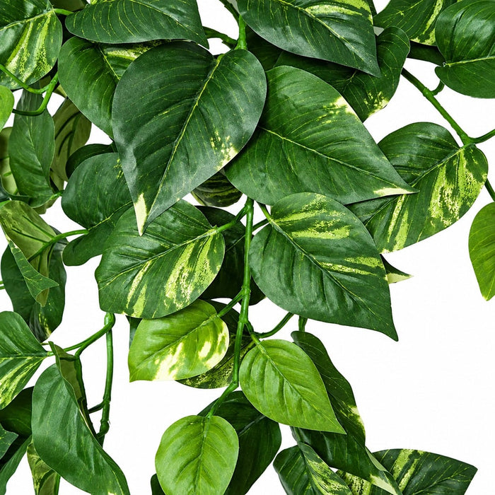 50" IFR Variegated Pothos Artificial Hanging Plant -Green (Pack of 4) - PR190030