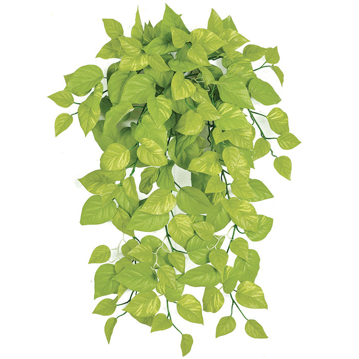 36" IFR Pothos Ivy Artificial Hanging Plant -Light Green (pack of 4) - PR190012