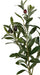 29" IFR Artificial Olive Branch Stem w/Berries -2 Tone Green (pack of 12) - PR190702