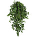 32" IFR Curly Ivy Artificial Hanging Plant -428 Leaves -Green (pack of 6) - PR191970