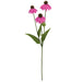31.5" IFR Rudbeckia Black-Eyed Susan Artificial Flower Stem -Fuchsia (Pack of 12) - PR-192100