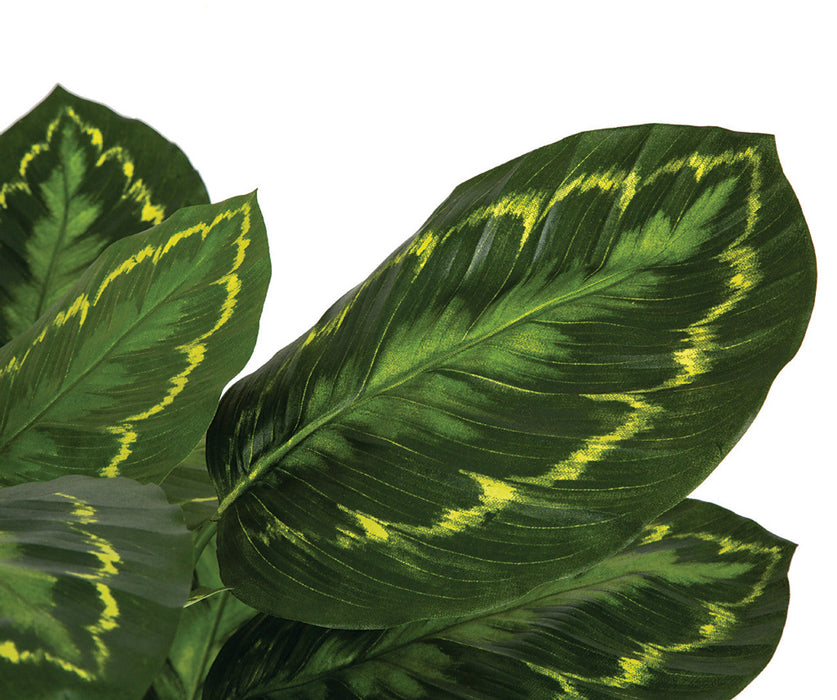 3' IFR Calathea Roseopicta Leaf Artificial Plant w/Pot -Variegated Green - PR-200020