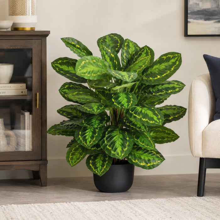 3' IFR Calathea Roseopicta Leaf Artificial Plant w/Pot -Variegated Green - PR-200020