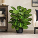 3' IFR Calathea Roseopicta Leaf Artificial Plant w/Pot -Variegated Green - PR-200020