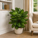 3' IFR Calathea Roseopicta Leaf Artificial Plant w/Pot -Variegated Green - PR-200020
