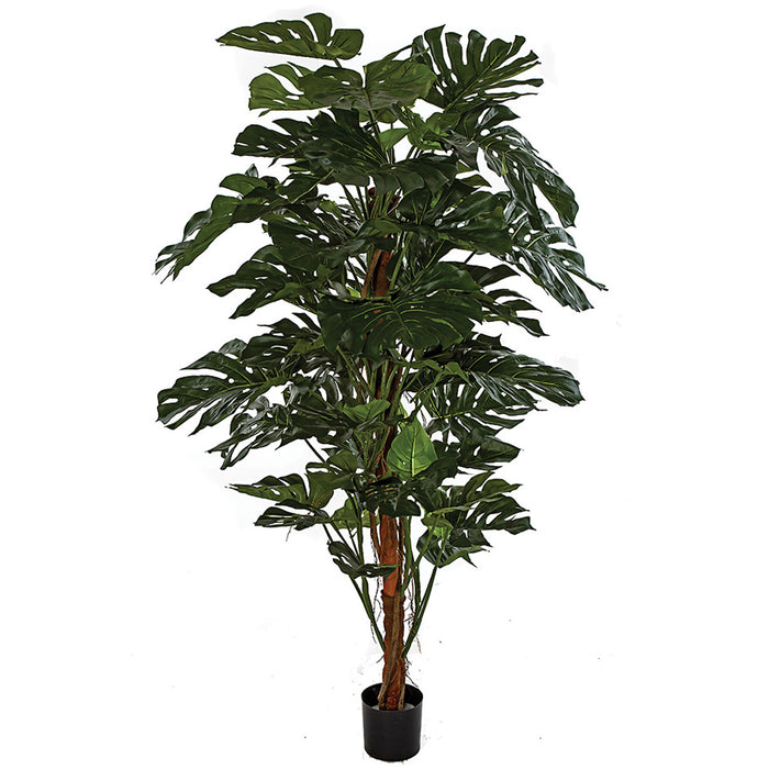 artificial split leaf philodendron 6' IFR Split Leaf Philodendron Monstera Silk Plant w/Pot -Green