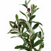 12' IFR Artificial Olive Tree & Berries w/Base -Green - PR210520