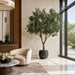 8' IFR Artificial Olive Tree & Berries w/Pot -Green - PR210500