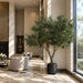 8' IFR Artificial Olive Tree & Berries w/Pot -Green - PR210500