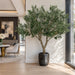 8' IFR Artificial Olive Tree & Berries w/Pot -Green - PR210500