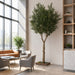12' IFR Artificial Olive Tree & Berries w/Base -Green - PR210520