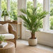 4'6" IFR Areca Artificial Palm Tree w/Pot -Green - PR-220300