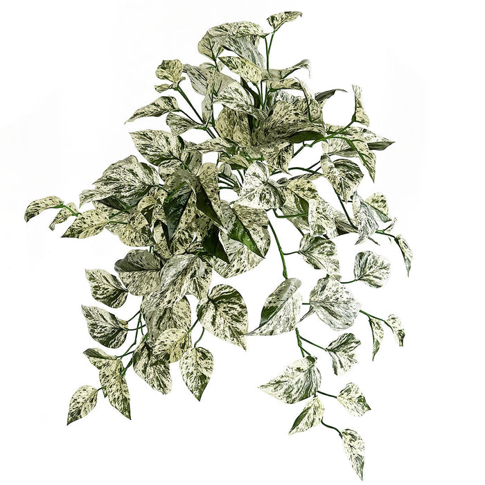 24" IFR Artificial Hanging Pothos Leaf Plant -White/Green (Pack of 6) - PR-250360