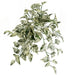 24" IFR Artificial Hanging Pothos Leaf Plant -White/Green (Pack of 6) - PR-250360