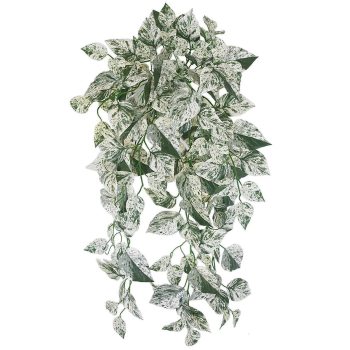 36" IFR Artificial Hanging Pothos Leaf Plant -White/Green (Pack of 4) - PR-250370