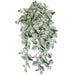 36" IFR Artificial Hanging Pothos Leaf Plant -White/Green (Pack of 4) - PR-250370