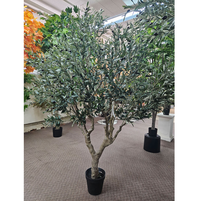 8' IFR Artificial Olive Tree & Berries w/Pot -Green - PR210500