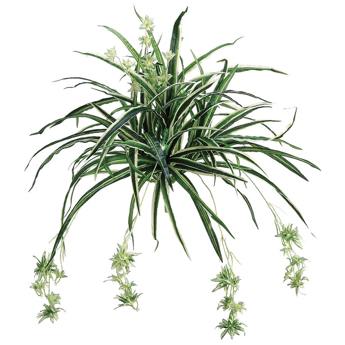 28" Spider Silk Plant -100 Leaves -Green/White (pack of 12) - PS6340-