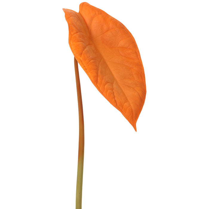 31" Silk Alocasia Leaf Stem -Orange (Pack of 12) - PSA111-OR