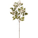 33" Seeded Ash Leaf Silk Stem -Cream/Green (Pack of 12) - PSA125-CR/GR