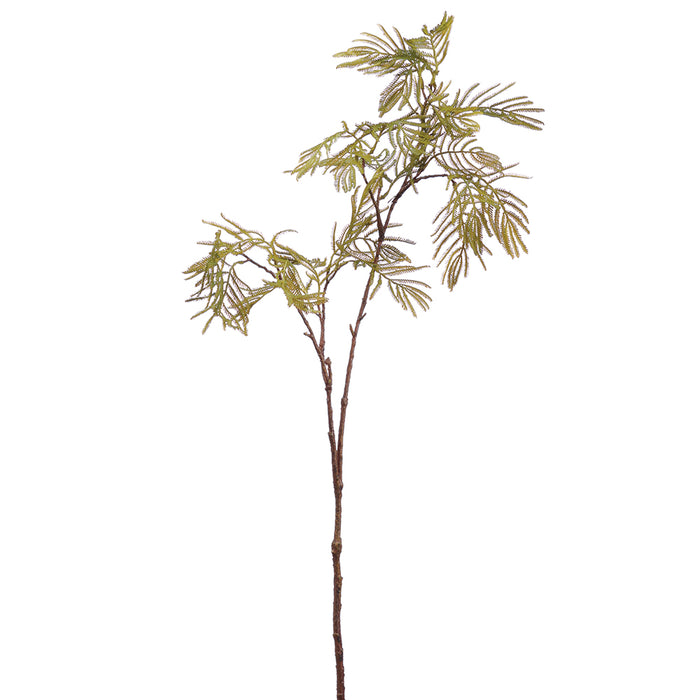 38" Silk Acacia Leaf Stem -Green (pack of 12) - PSA141-GR