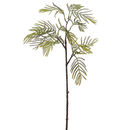 21" Silk Acacia Leaf Stem -Green (pack of 24) - PSA142-GR