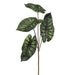 36" Silk Alocasia Leaf Stem -2 Tone Green (pack of 12) - PSA300-GR/TT