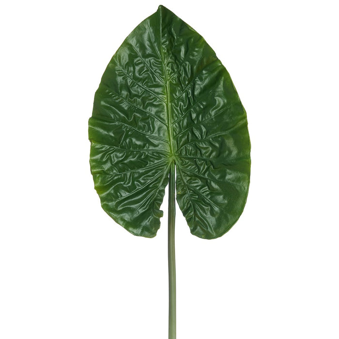 30" Silk Alocasia Leaf Stem -Green (Pack of 12) - PSA983-GR