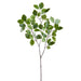39" Silk Beech Leaf Stem -Green (pack of 12) - PSB003-GR