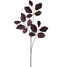 30" Beech Leaf Silk Stem -Dark Brown (Pack of 12) - PSB016-BR/DK