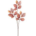 30" Beech Leaf Silk Stem -Brown (Pack of 12) - PSB016-BR