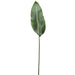 36" Silk Bird Of Paradise Leaf Stem -Green (pack of 12) - PSB137-GR