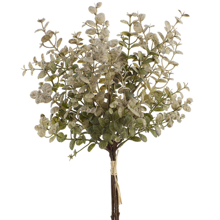16" Boxwood Leaf Artificial Stem Bundle -Gray/Green (Pack of 12) - PSB142-GY/GR