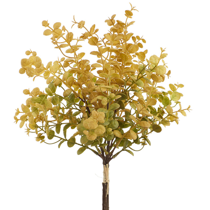 16" Boxwood Leaf Artificial Stem Bundle -Yellow/Green (Pack of 12) - PSB142-YE/GR