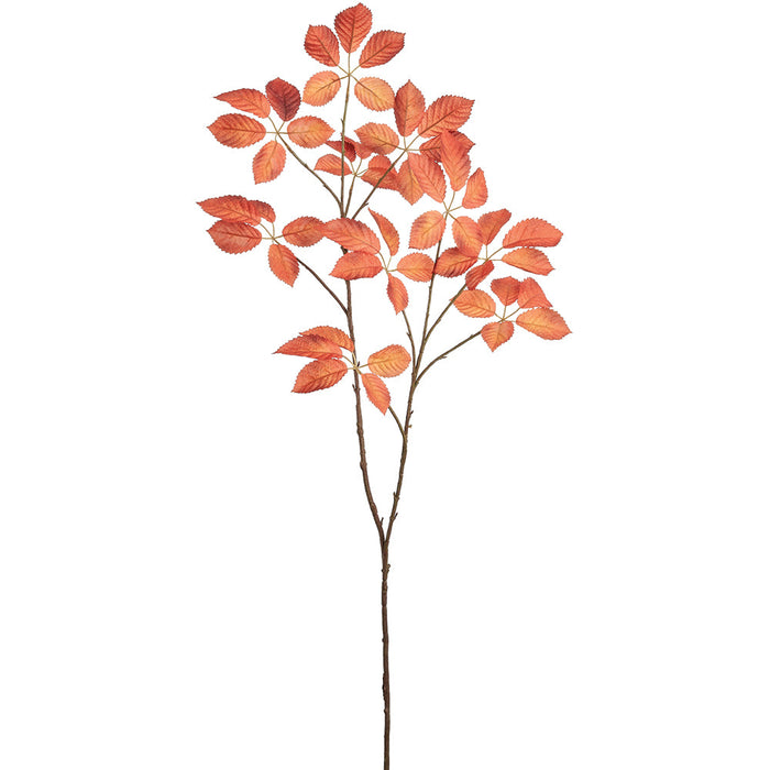 44.5" Beech Leaf Silk Stem -Orange (pack of 12) - PSB196-OR