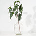 33" Silk Begonia Leaf Stem -Green (pack of 12) - PSB333-GR