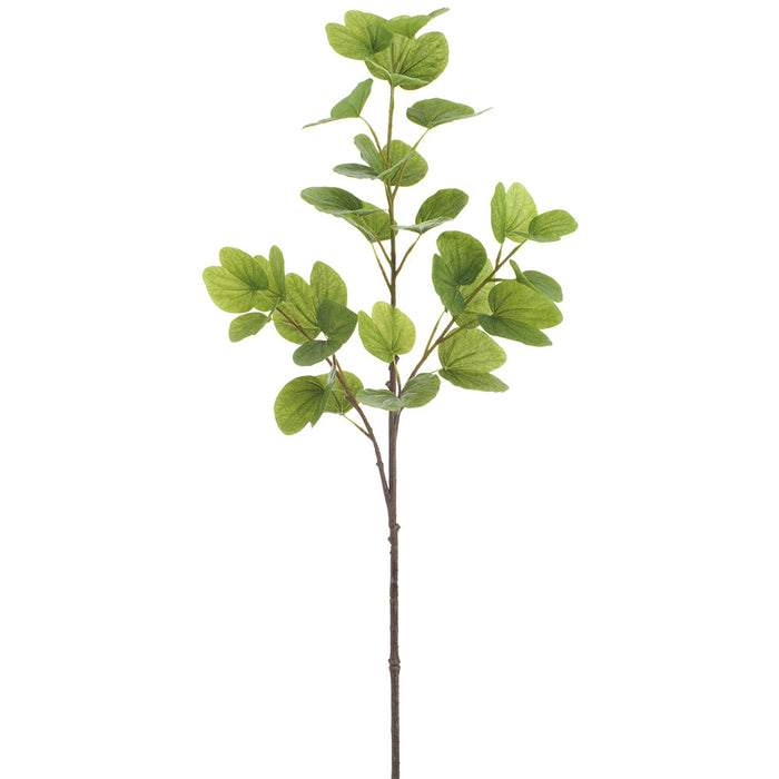 47" Bauhinia Hong Kong Orchid Tree Silk Stem -Green (Pack of 6) - PSB355-GR
