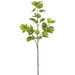 47" Bauhinia Hong Kong Orchid Tree Silk Stem -Green (Pack of 6) - PSB355-GR