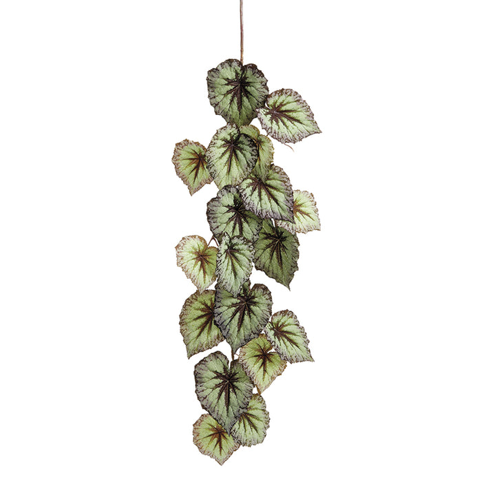 43" Hanging Silk Begonia Leaf Stem -Green/Purple (pack of 12) - PSB437-GR/PU