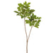 41.5" Silk Bishop Wood Leaf Branch Stem -Green (pack of 12) - PSB502-GR
