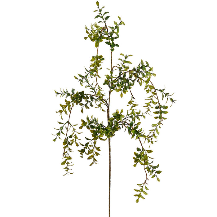 45" Hanging Boxwood Artificial Stem -Green (Pack of 12) - PSB550-GR