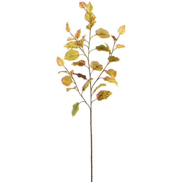 45" Beech Leaf Silk Stem -Green/Mustard (Pack of 12) - PSB574-GR/MD