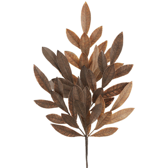 23" Bay Laurel Leaf Silk Stem -2 Tone Brown (Pack of 24) - PSB616-BR/TT