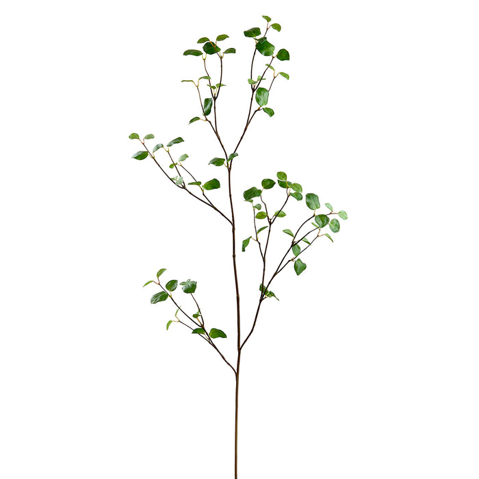 61" Silk Bay Leaf Stem -Green (pack of 12) - PSB719-GR